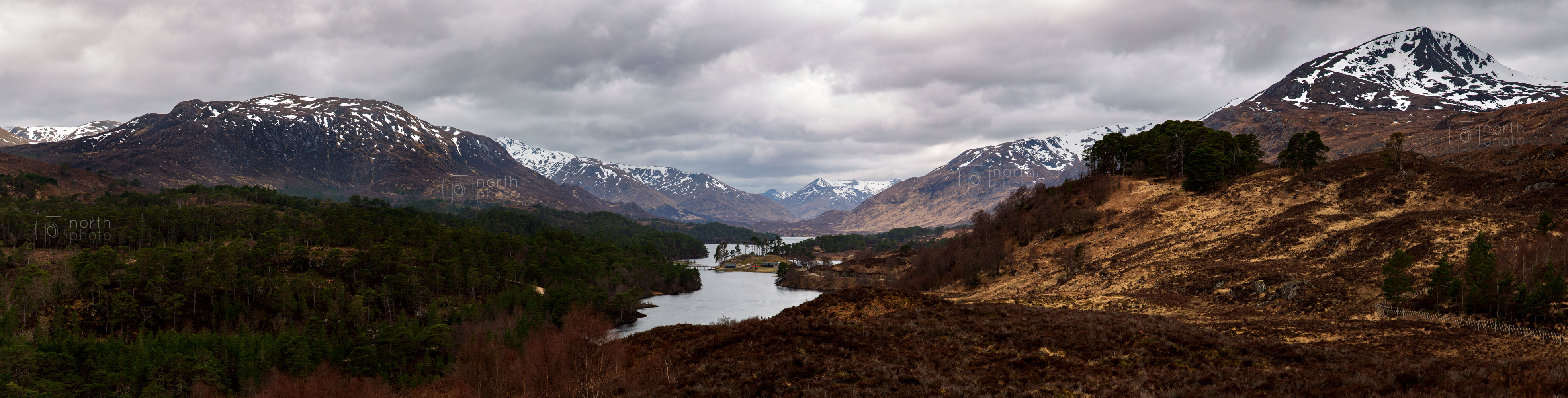 Panoramic view of Glen Affric and the Kintail Mounatins