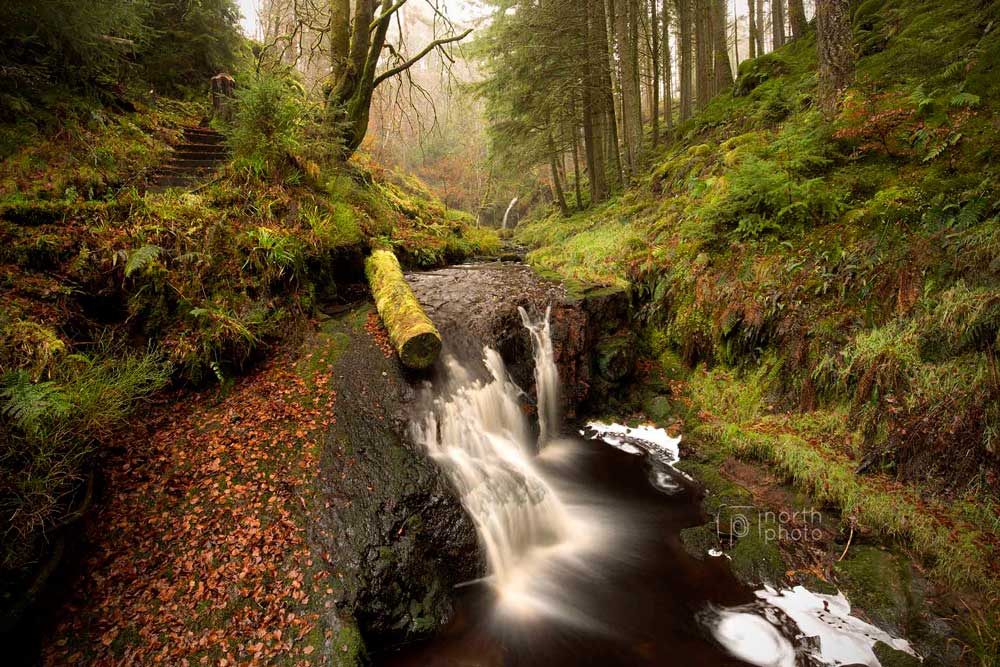 Hindhope Burn with Hindhope Linn in the distance