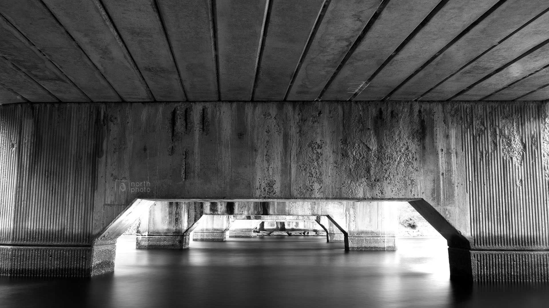 Below a concrete bridge in Kielder