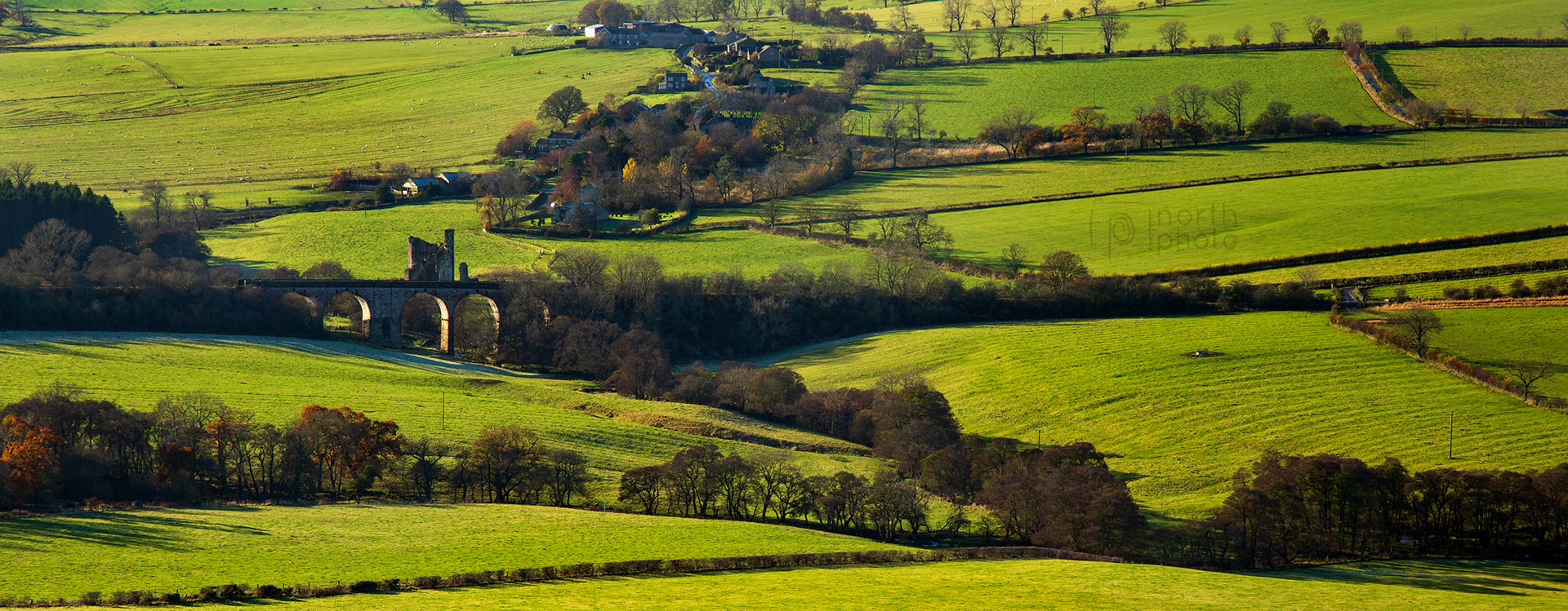 Edlingham Viaduct and Castle