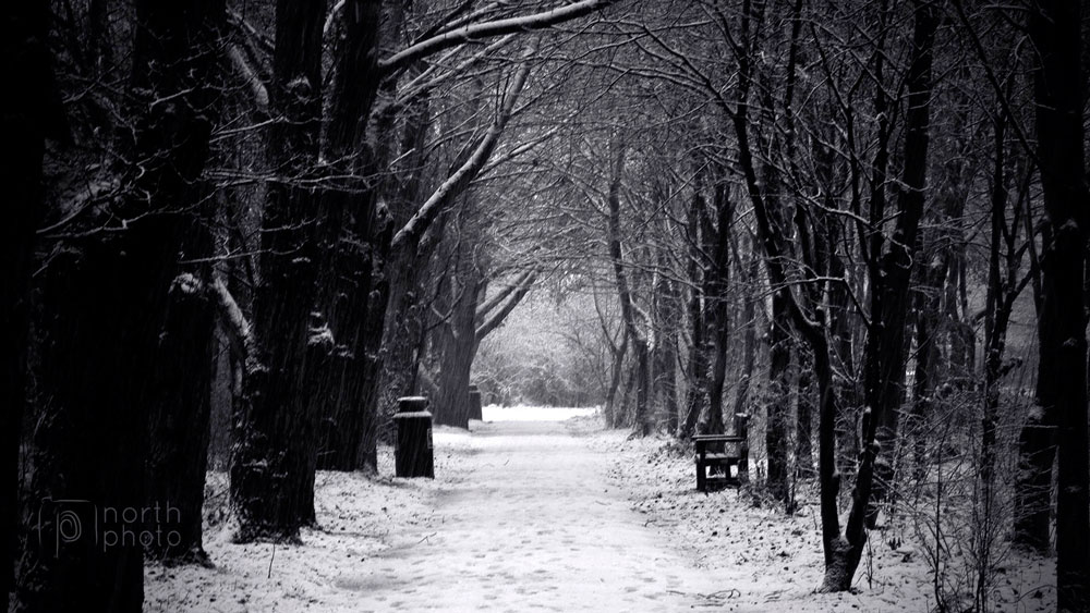 Iris Brickfield park, Heaton, in the snow