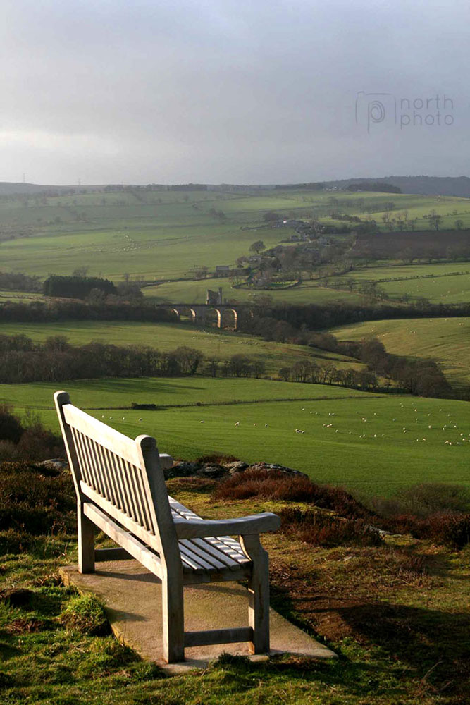 Looking out over Edlingham Viaduct and Castle