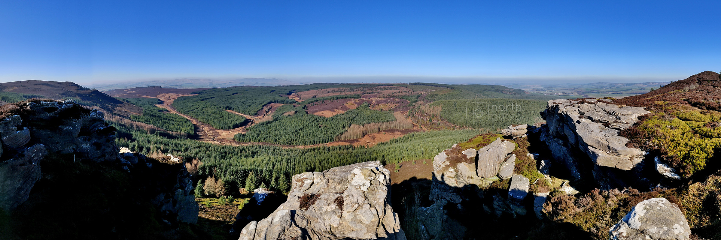 Panoramic view from Coe Crags, Thrunton Wood