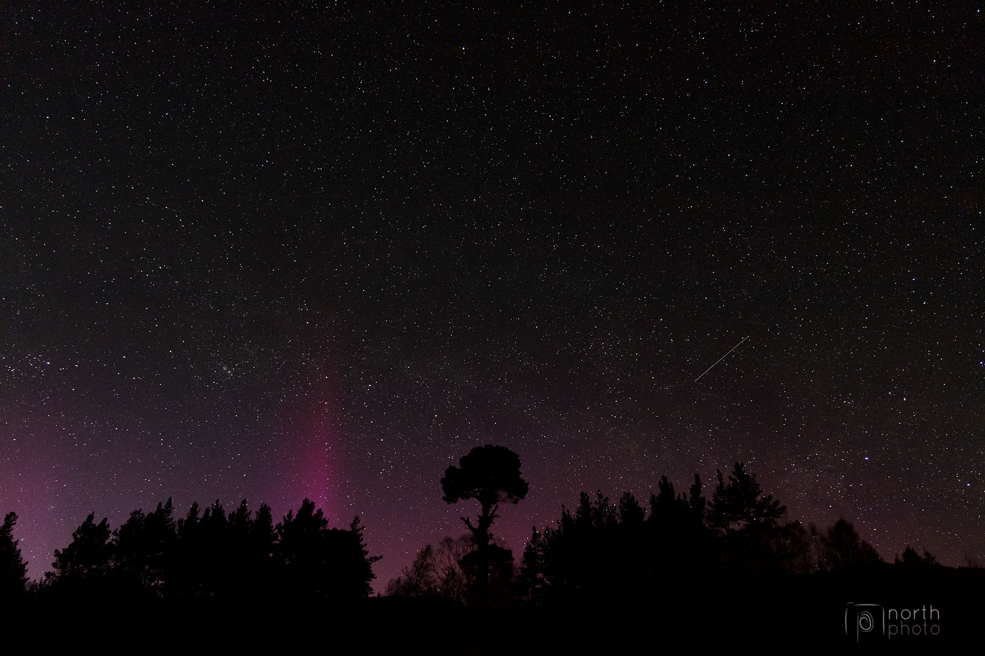 Purple pillars of the Aurora, taken from the Cairngorms National Park.