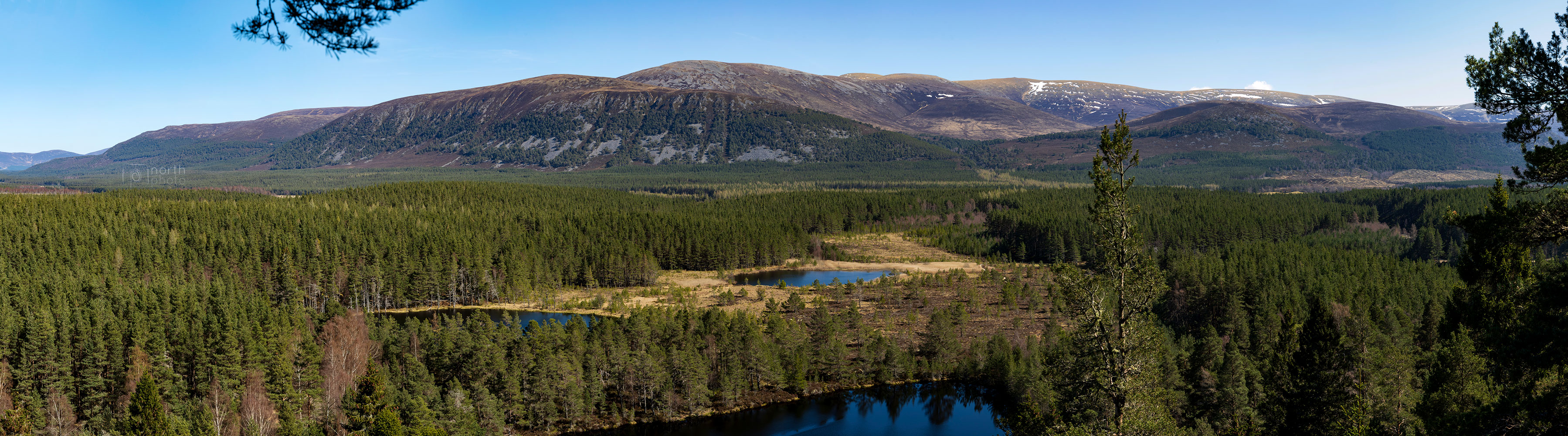 A panorama of the Uath Lochans and Cairngorms National Park
