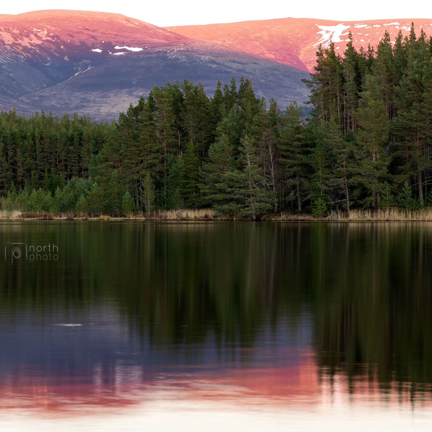 Sunset reflections in the Uath Lochans, Cairngorms