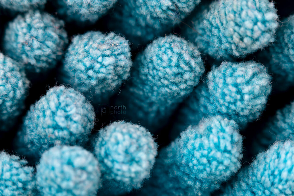 Macro photo of a fluffy duster