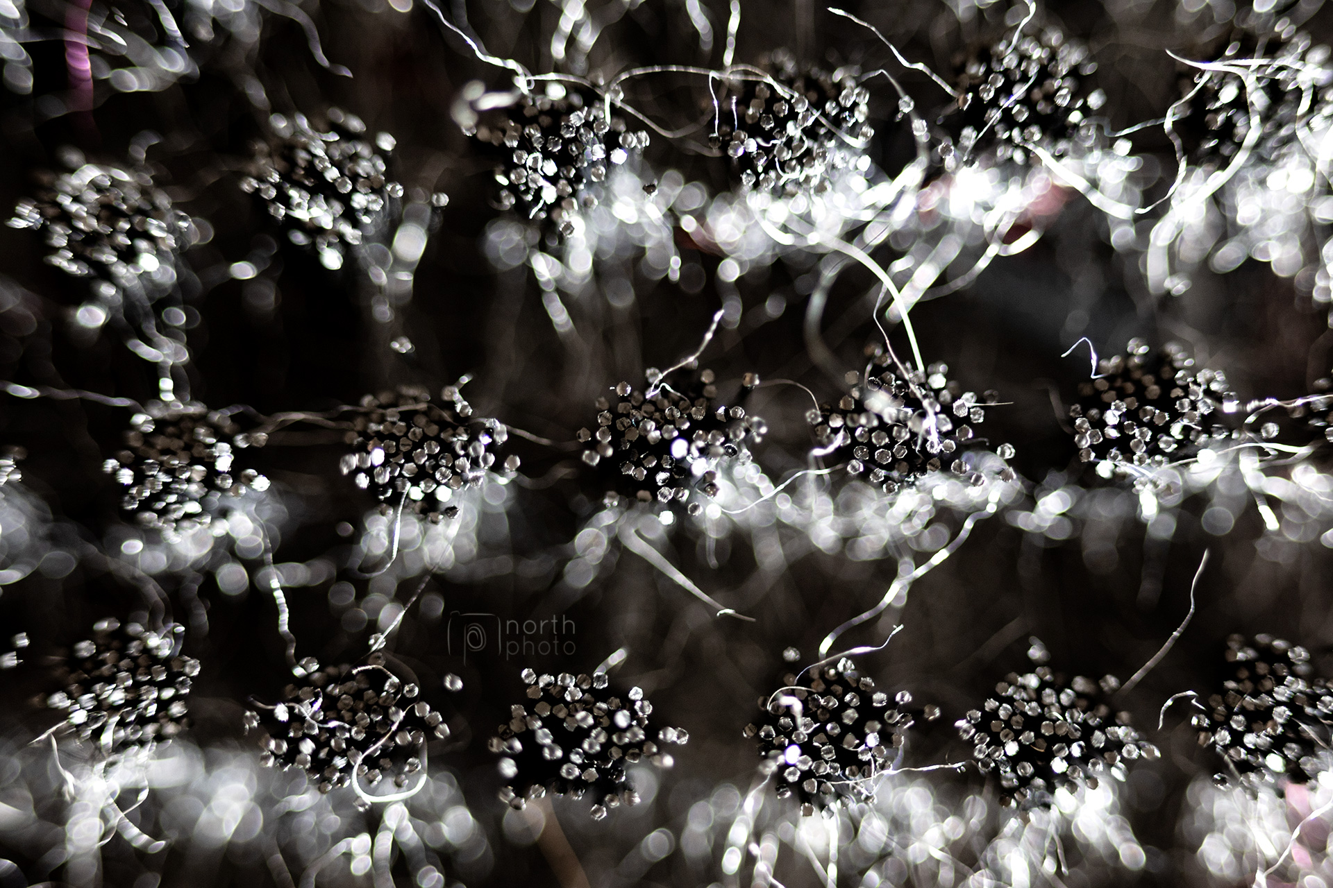 Macro photo of a wire brush.